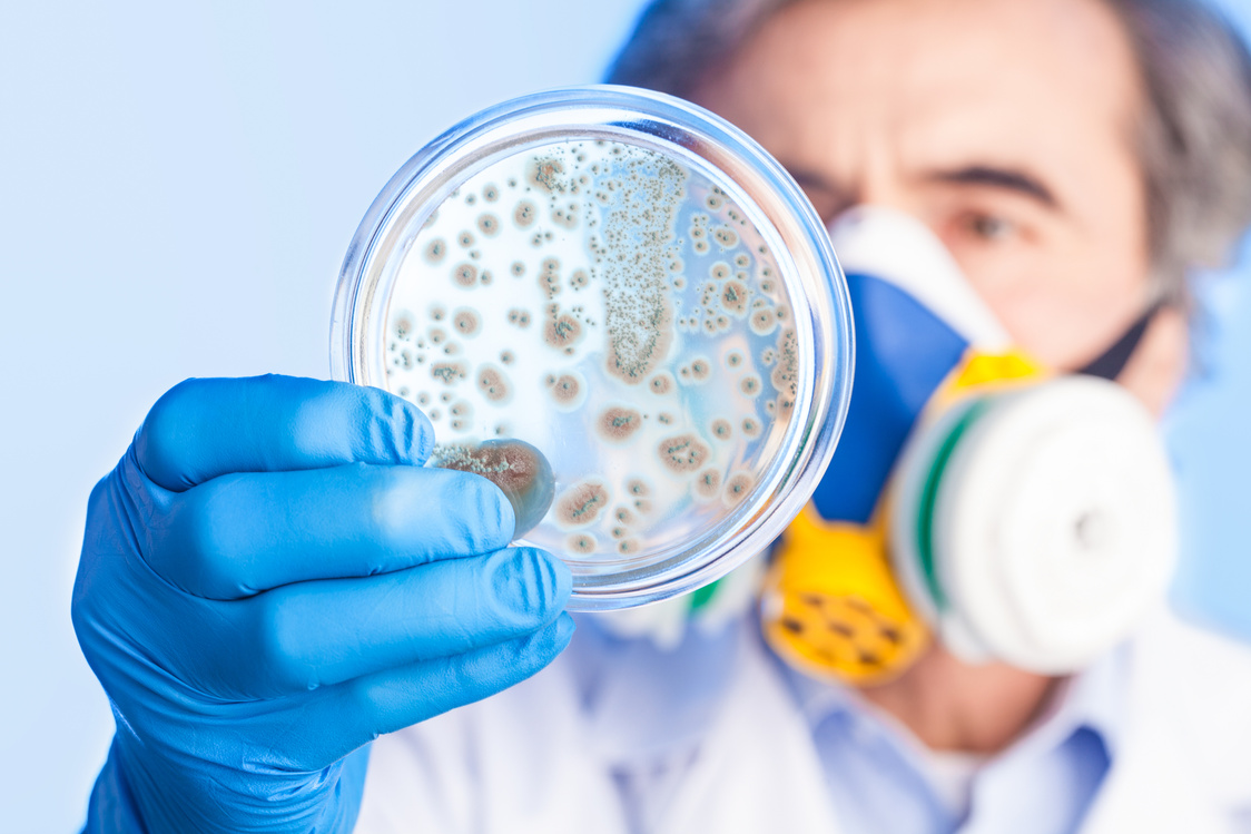 agent and bacteria